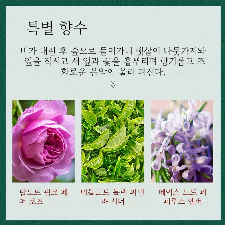 촉촉보습 핸드크림 5종 선물세트 건조한손 케어 크리스마스 선물,미니 핸드크림,선물세트,고보습 핸드크림